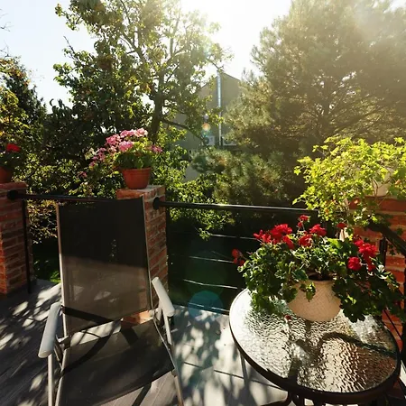 Garden Iii